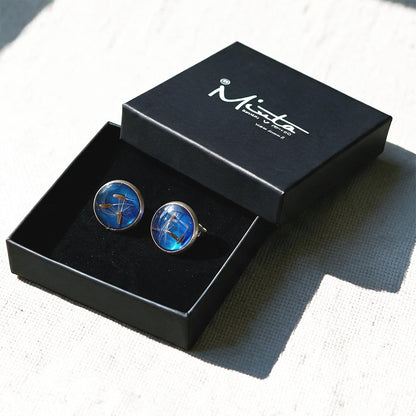 Black jewelry box with handmade dandelion seed stud earrings featuring real dandelion seeds preserved in resin