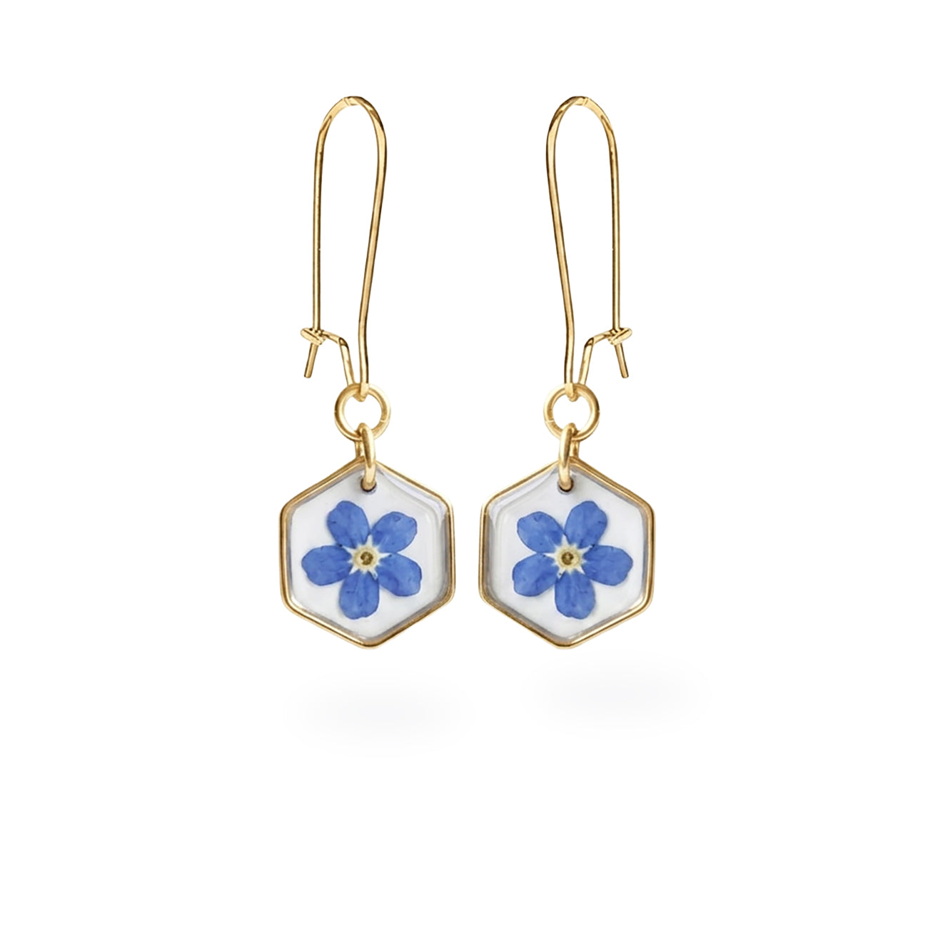 Real forget-me-not flower earrings with 18K gold plated hooks and hexagon frames, handmade in Finland