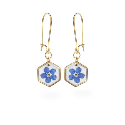 Real forget-me-not flower earrings with 18K gold plated hooks and hexagon frames, handmade in Finland