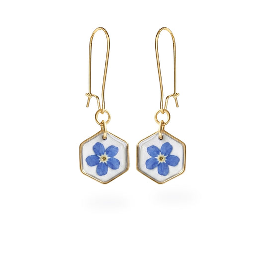 Real forget-me-not flower earrings with 18K gold plated hooks and hexagon frames, handmade in Finland